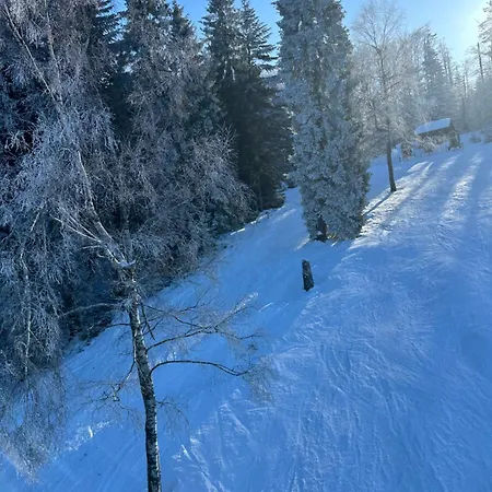 Dom W Beskidach Apartamento