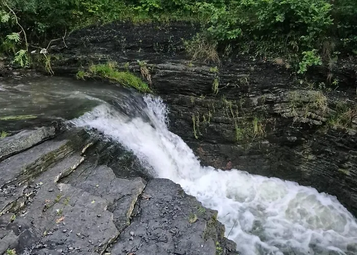 Dom W Beskidach דירה