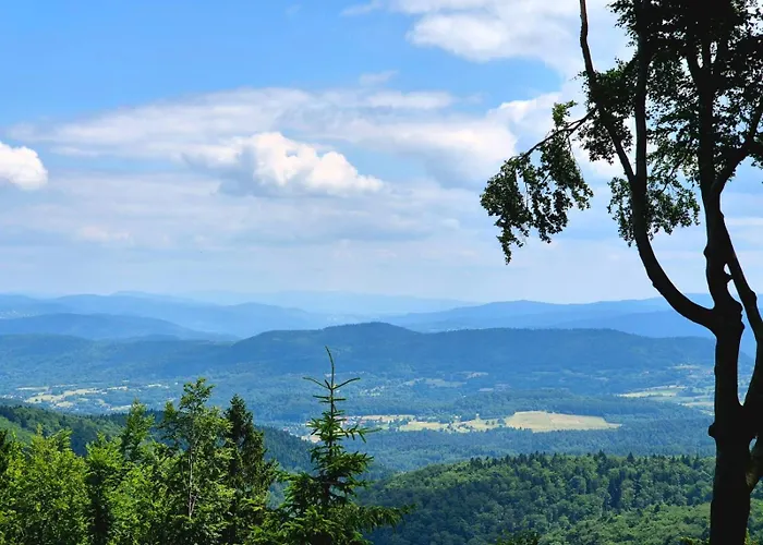 דירה Dom W Beskidach Zagornik