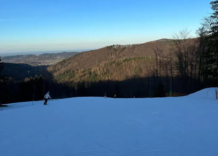 דירה Dom W Beskidach *